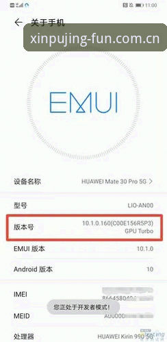 老安卓用户实测：新莆京平台娱乐中国官方主页兼容版入口2026最新版本，换域名后这些坑别踩